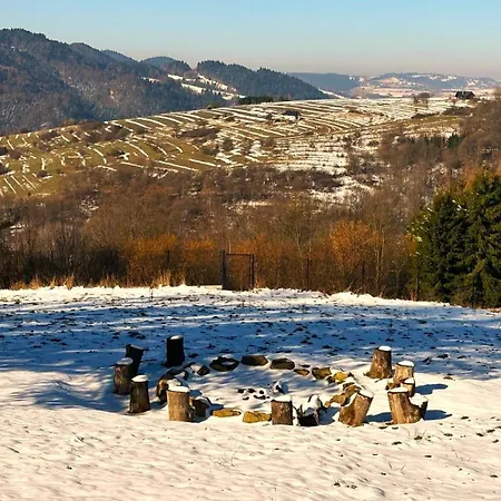 Siedlisko Pod Szczerbakiem *